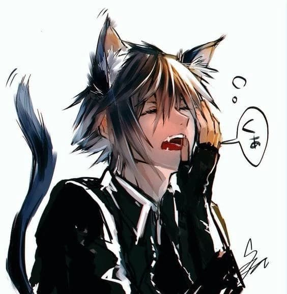 Leo- Bl cat hybrid thumbnail