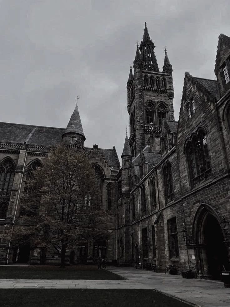[BL/MLM] •Nightveil Academy• thumbnail