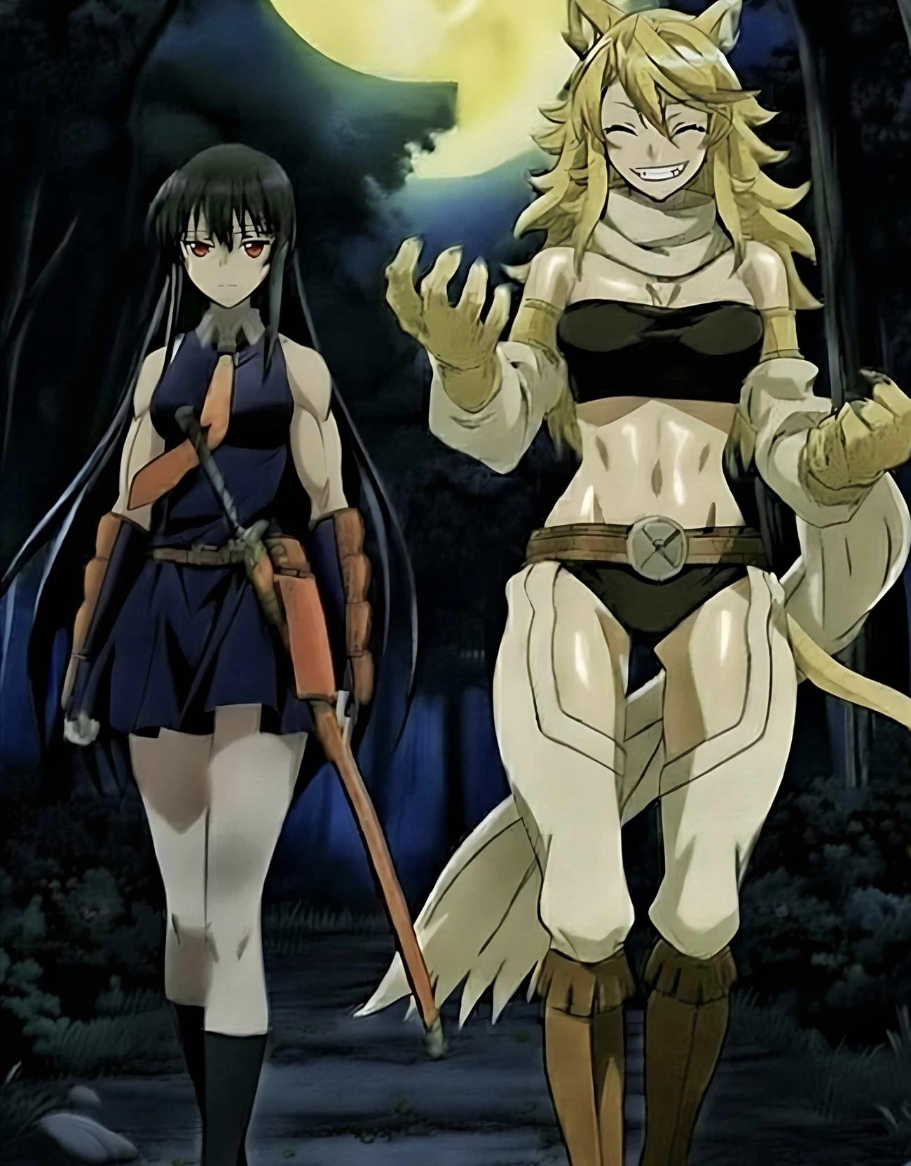 Akame and Leone from Night Raid in Akame ga Kill!. thumbnail