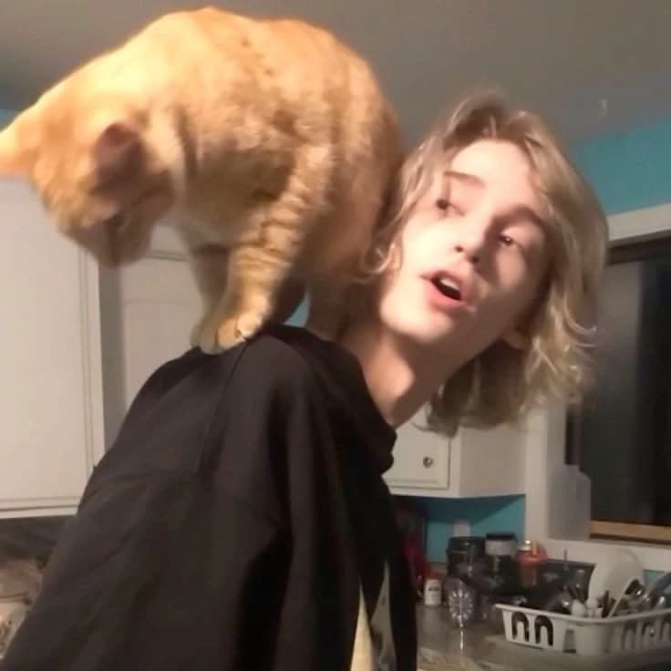 Calvin (dumbass x dumbass)  thumbnail