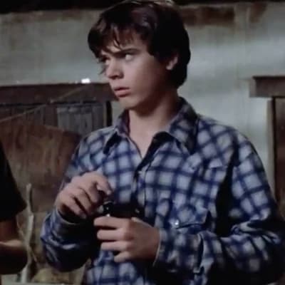 Ponyboy Curtis thumbnail