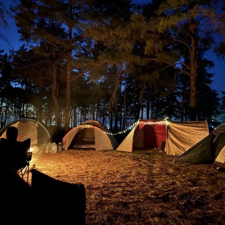 Camping with friends thumbnail