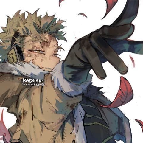 Hawks thumbnail
