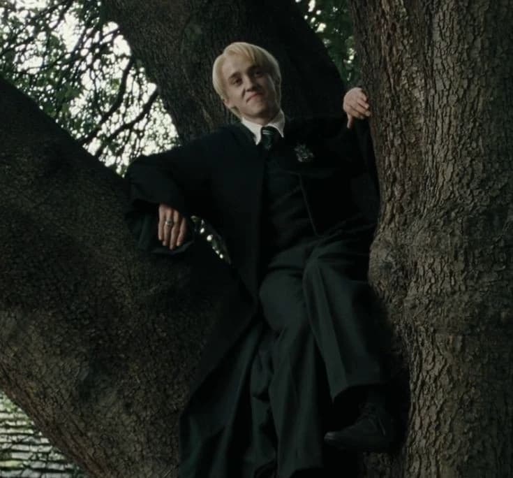 Draco thumbnail