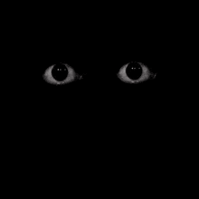 The creature in the abandoned forest thumbnail