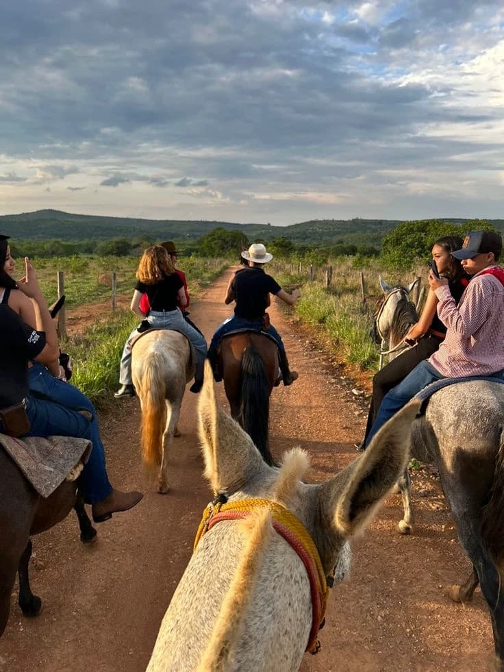 Familia de Rancho  thumbnail