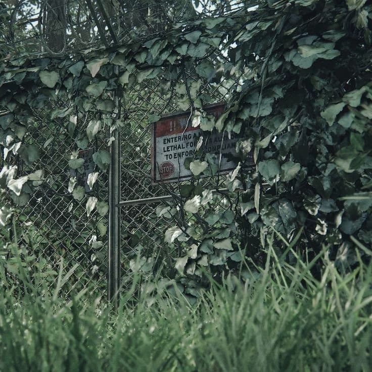 ZOMBIE APOCALYPSE (SURVIVE OR DIE) thumbnail