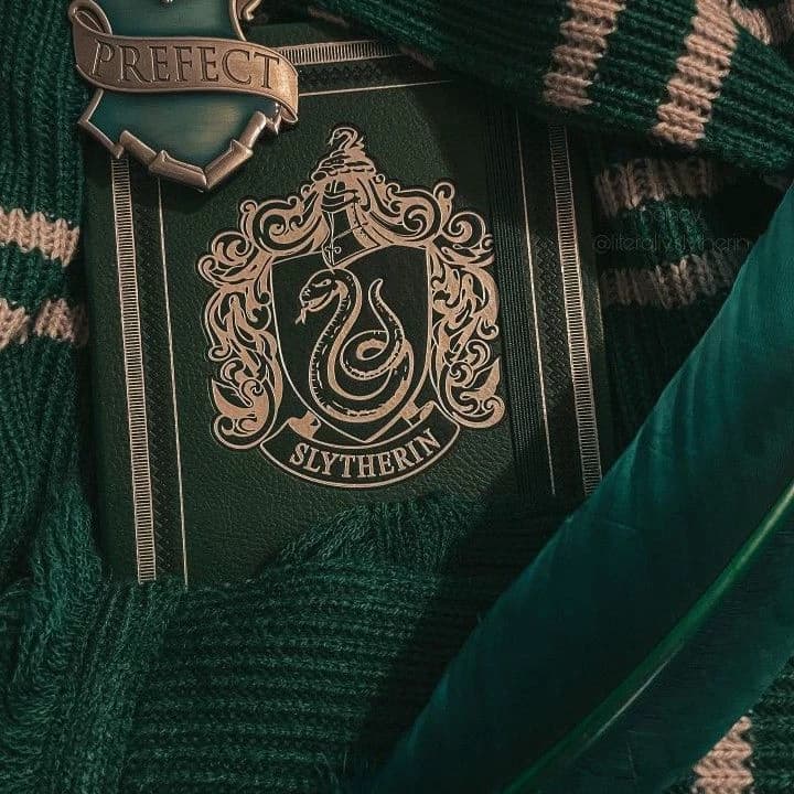 Slytherin | Slytherin boys thumbnail