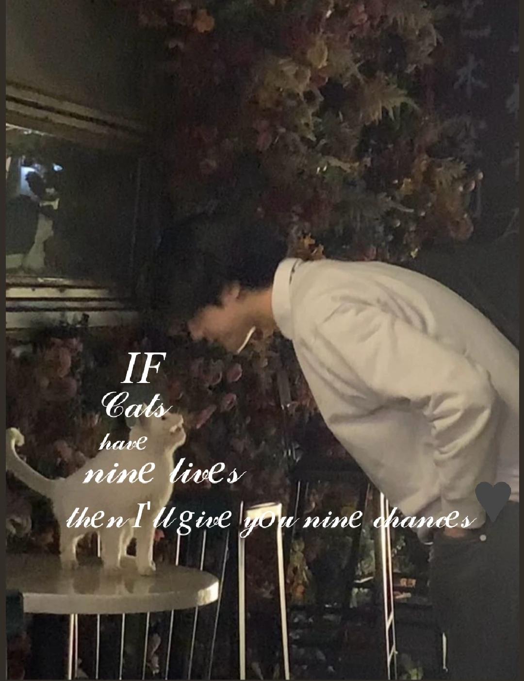 •ɪғ ᴄᴀᴛs ʜᴀᴠᴇ ɴɪɴᴇ ʟɪᴠᴇs ᴛʜᴇɴ ʏᴏᴜ'ʟʟ ʜᴀᴠᴇ ɴɪɴᴇ ᴄʜᴀɴᴄᴇs• thumbnail