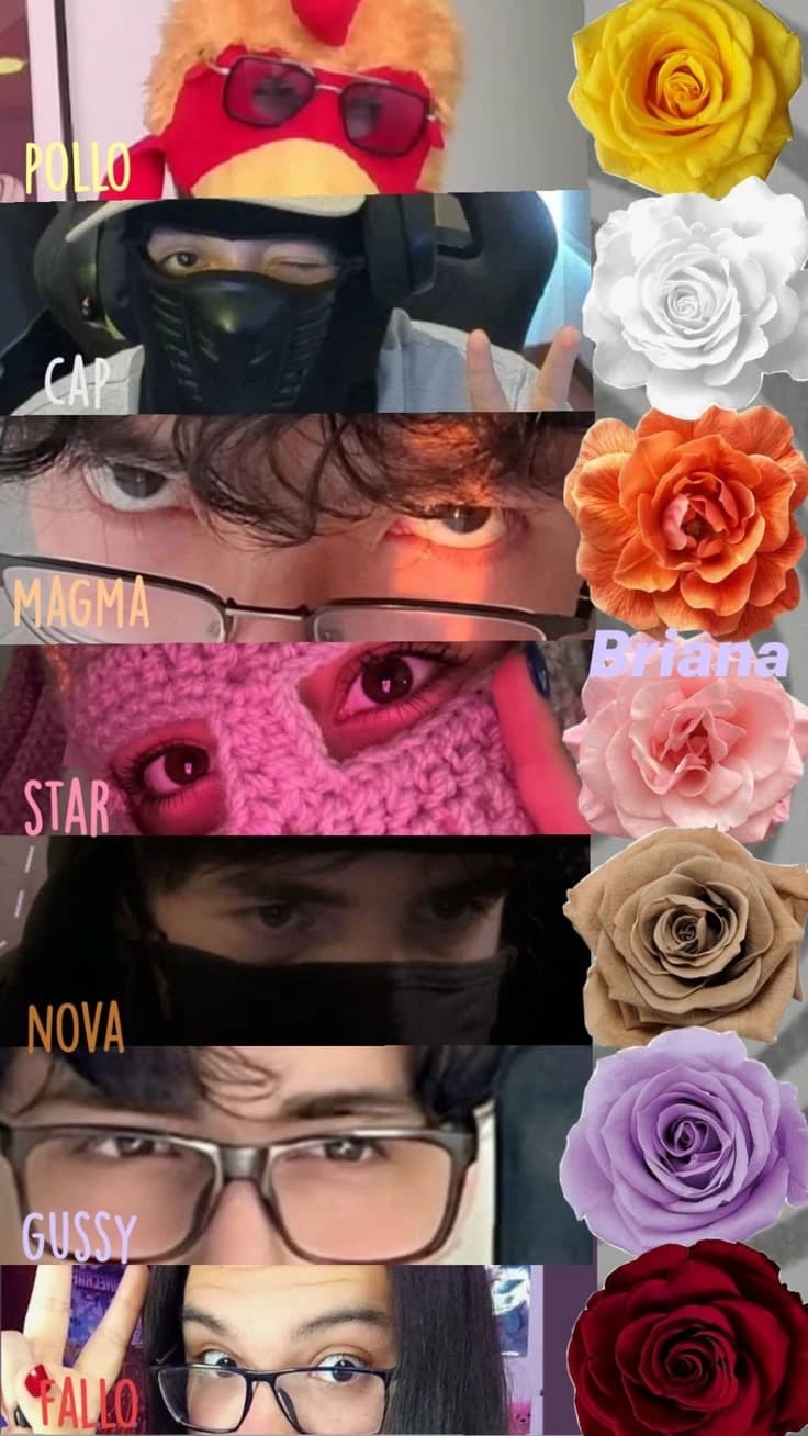 Los domingeros  thumbnail