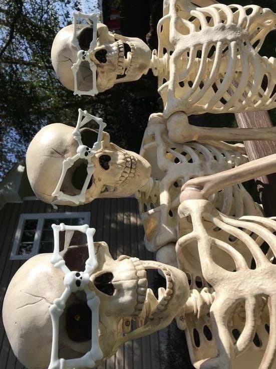 نادي العظماء المثقفين» (The Intellectual Bone Club)
 thumbnail