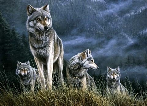 Wolf Pack thumbnail