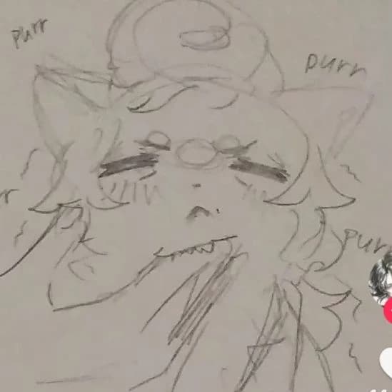 wally gato thumbnail