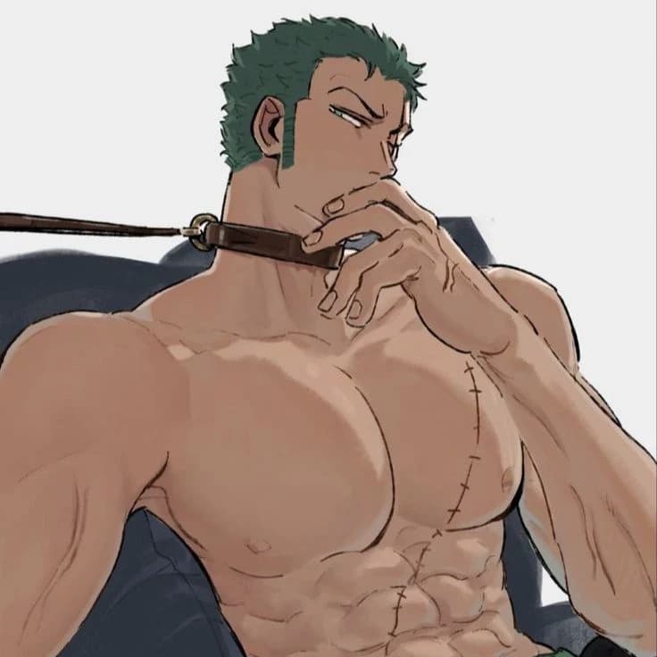 Commander Roronoa Zoro thumbnail