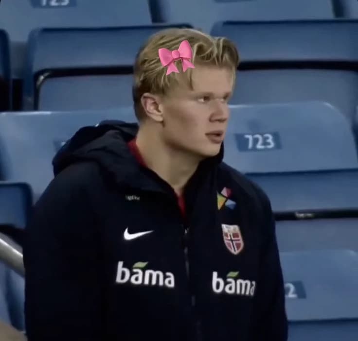 Erling Haaland (x Bellingham) thumbnail
