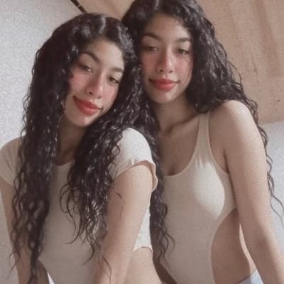 Twins thumbnail