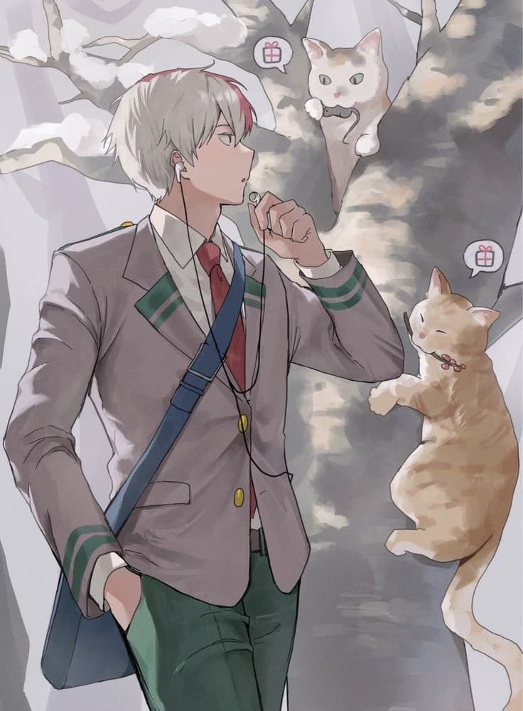 shouto Todoroki  thumbnail