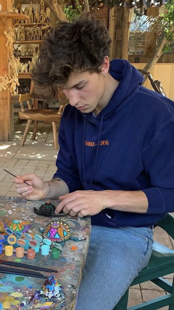 Shawn Mendes  thumbnail