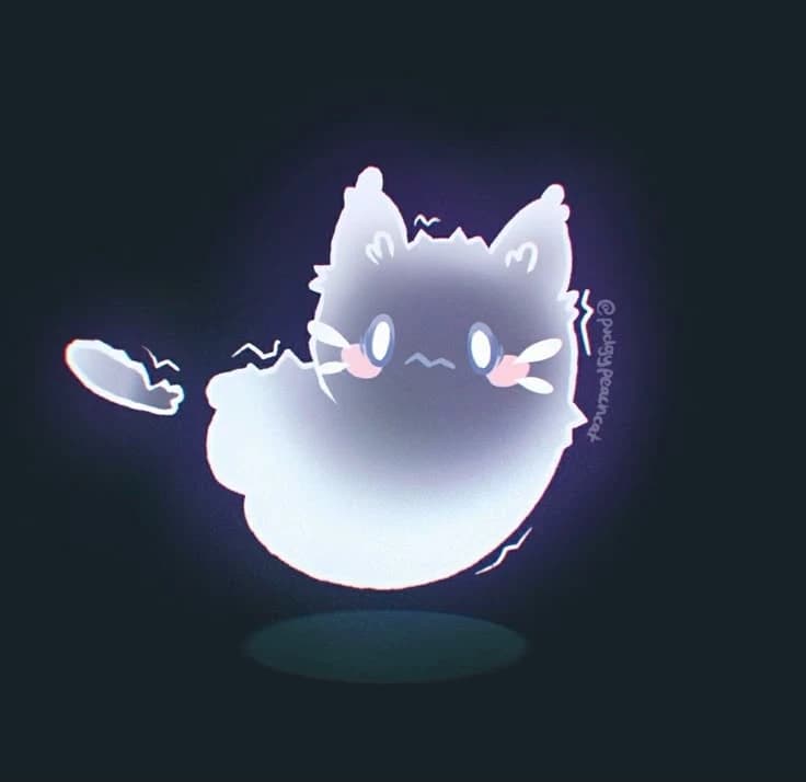 cat thumbnail