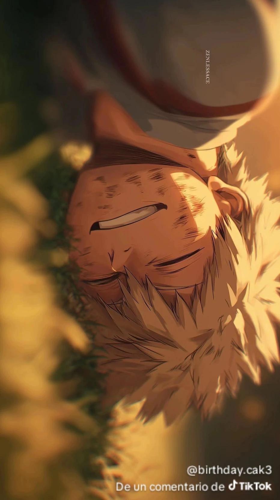 MHA SELECT thumbnail