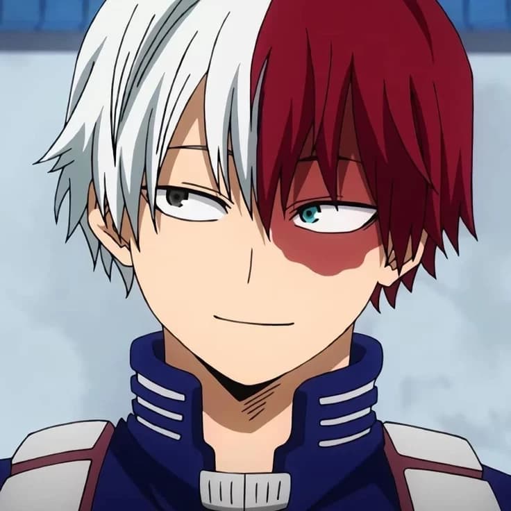Todoroki  thumbnail