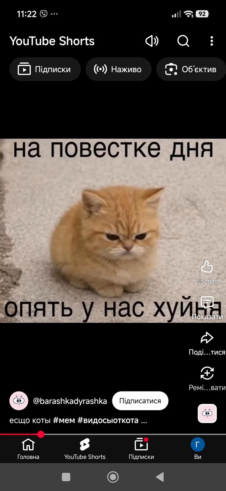 котохуйня thumbnail