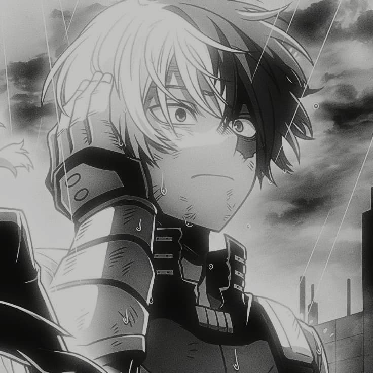 Shoto Todoroki | 11 thumbnail