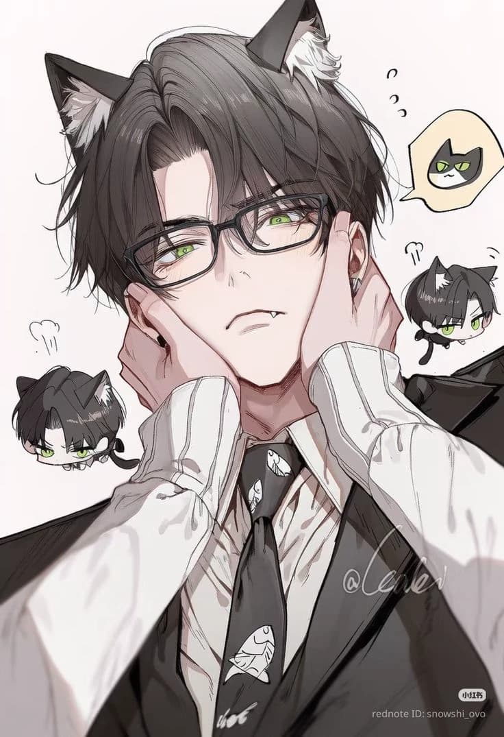 Nolan (cat) thumbnail