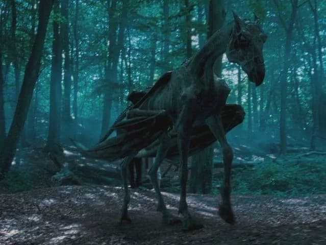 Hogwarts Creatures thumbnail