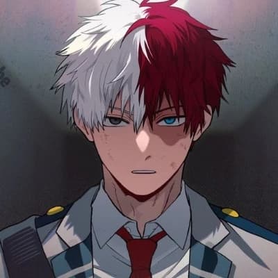 Shoto Todoroki thumbnail
