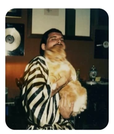 Freddie Mercury thumbnail