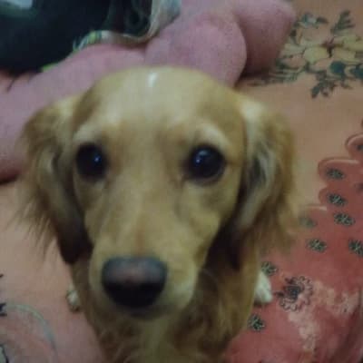 Soy jeik  thumbnail