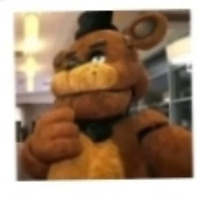 Freddy thumbnail
