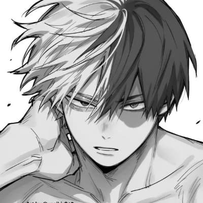 040 - SHOTO TODOROKI thumbnail