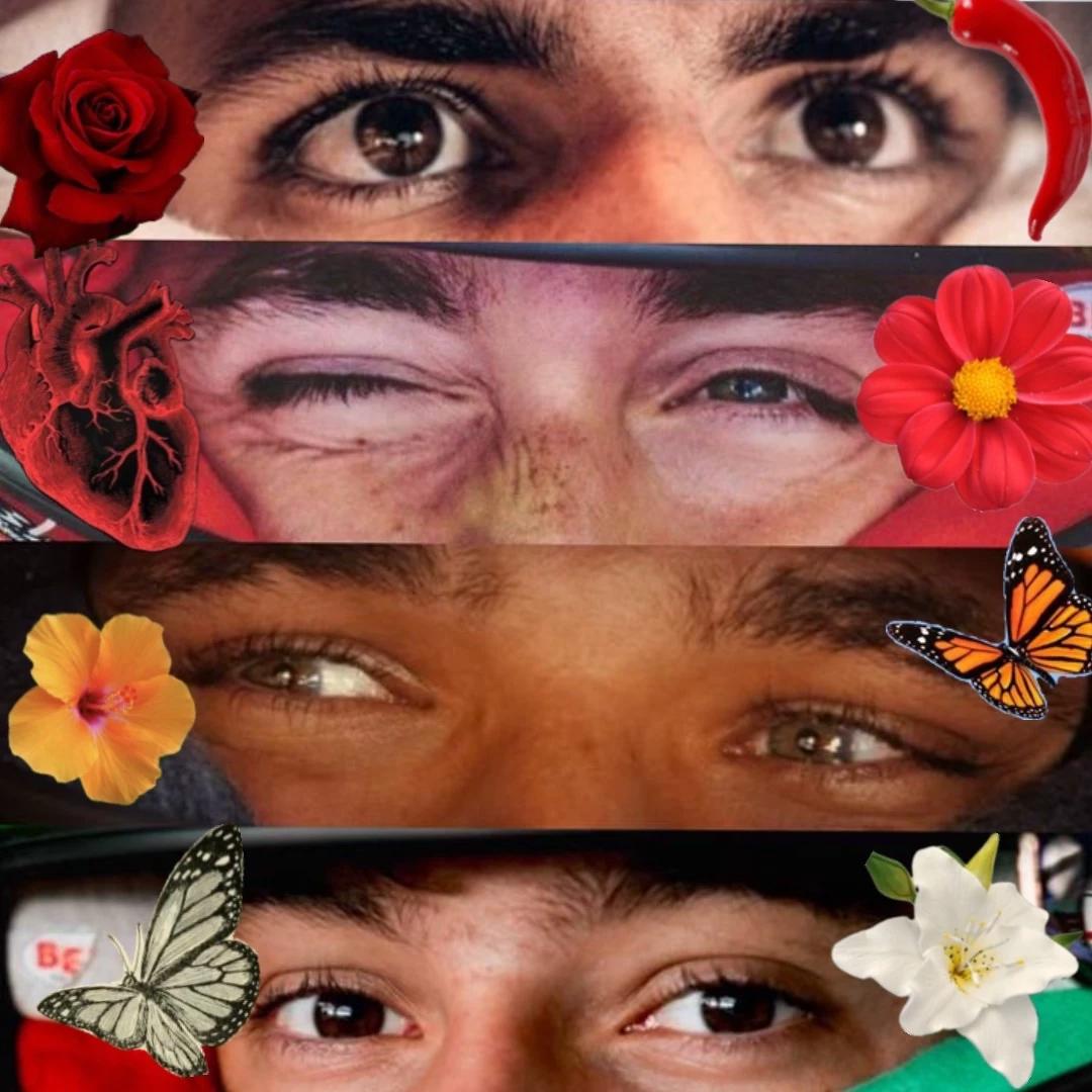 F1 thumbnail
