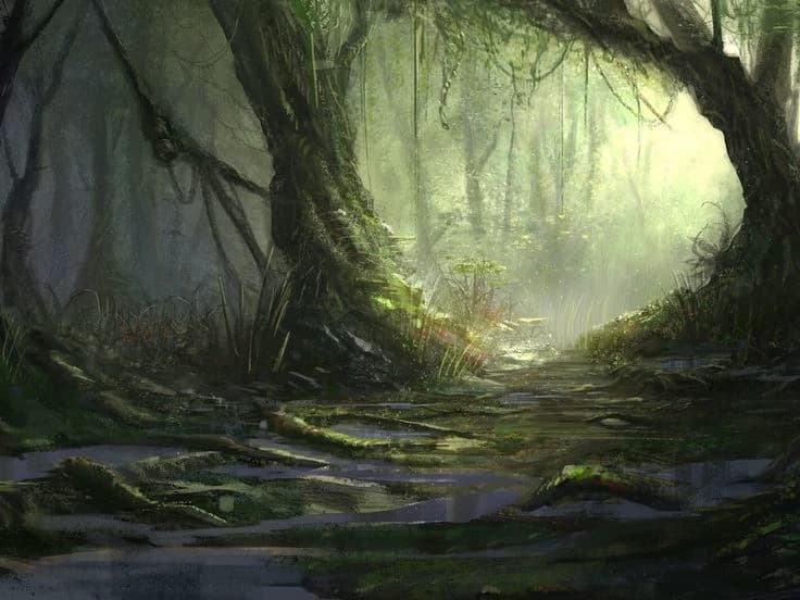 🌿🍀𓃥𓃢 𝐸𝑙𝑑𝑜𝑟𝑎 𝐹𝑜𝑟𝑒𝑠𝑡 𓃹𓃚🍃🌲 thumbnail