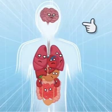 Our body thumbnail