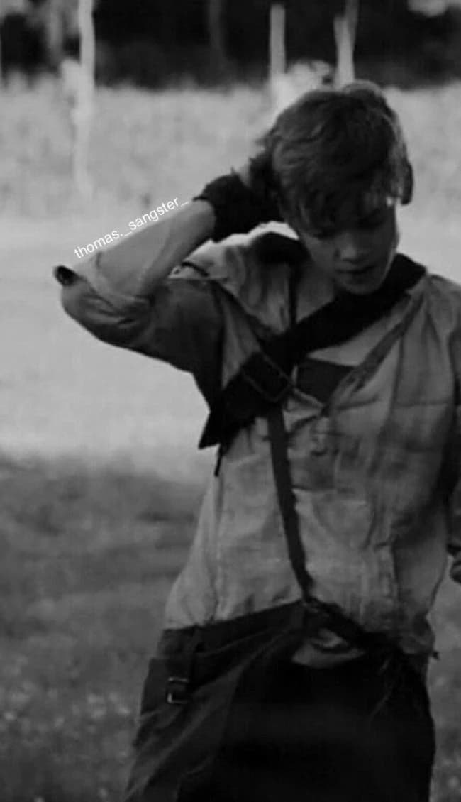 Newt  thumbnail