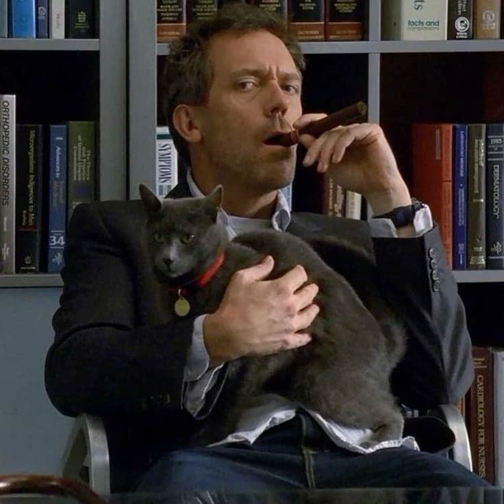 Dr. Gregory House thumbnail