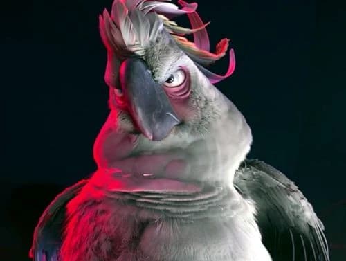 Nigel thumbnail