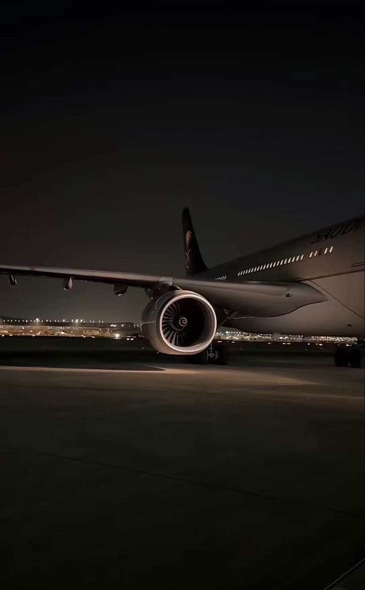 Plane—you are the captain. thumbnail