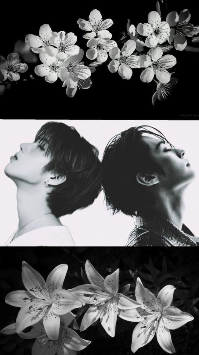 ♡Minho ~minsung ♡ thumbnail
