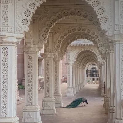 Ancient India  thumbnail