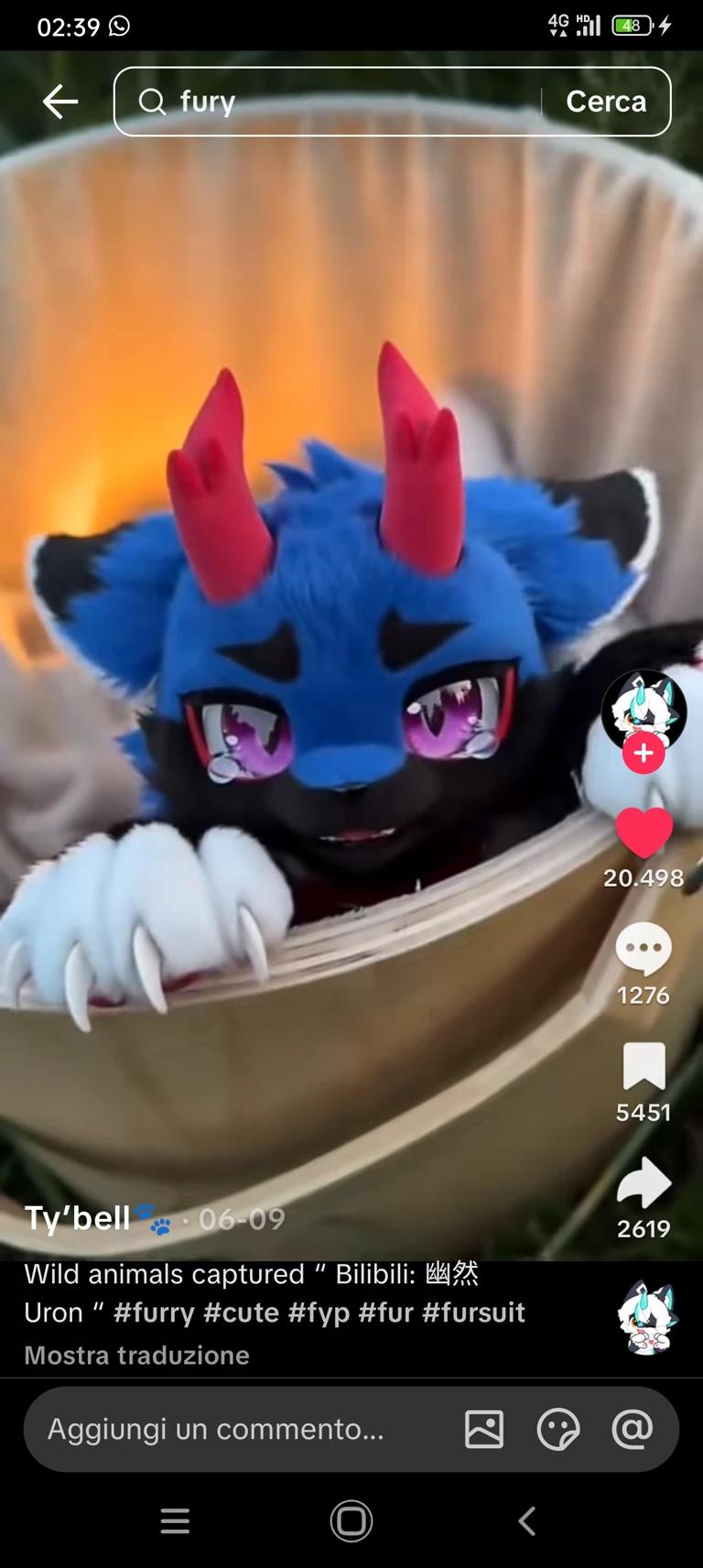 Furry pet thumbnail