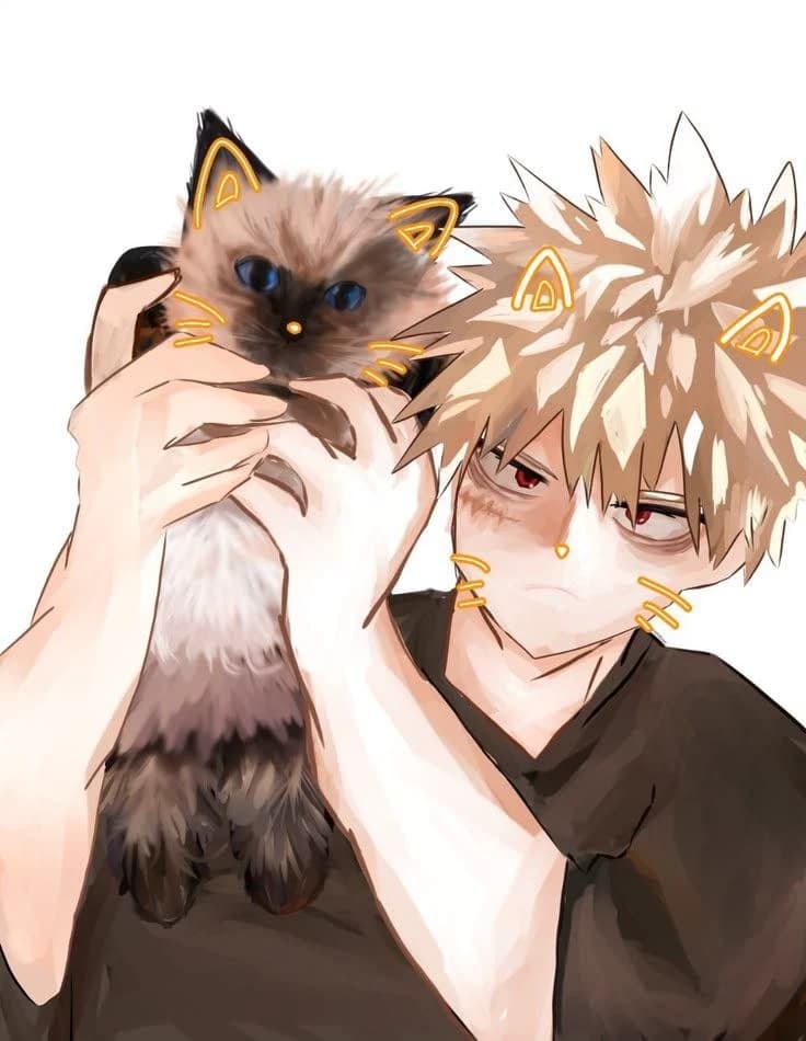 Katsuki Bakugo thumbnail