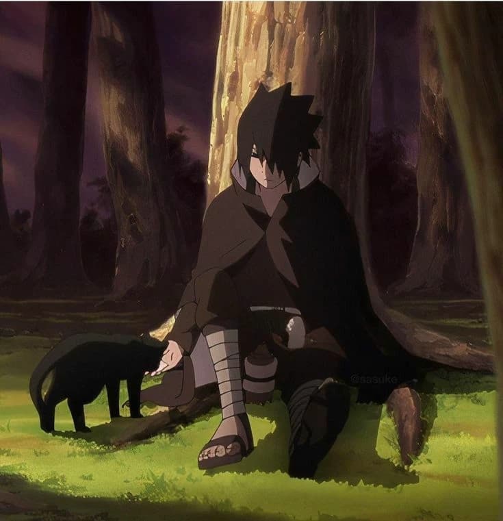 Sasuke Uchiha  thumbnail