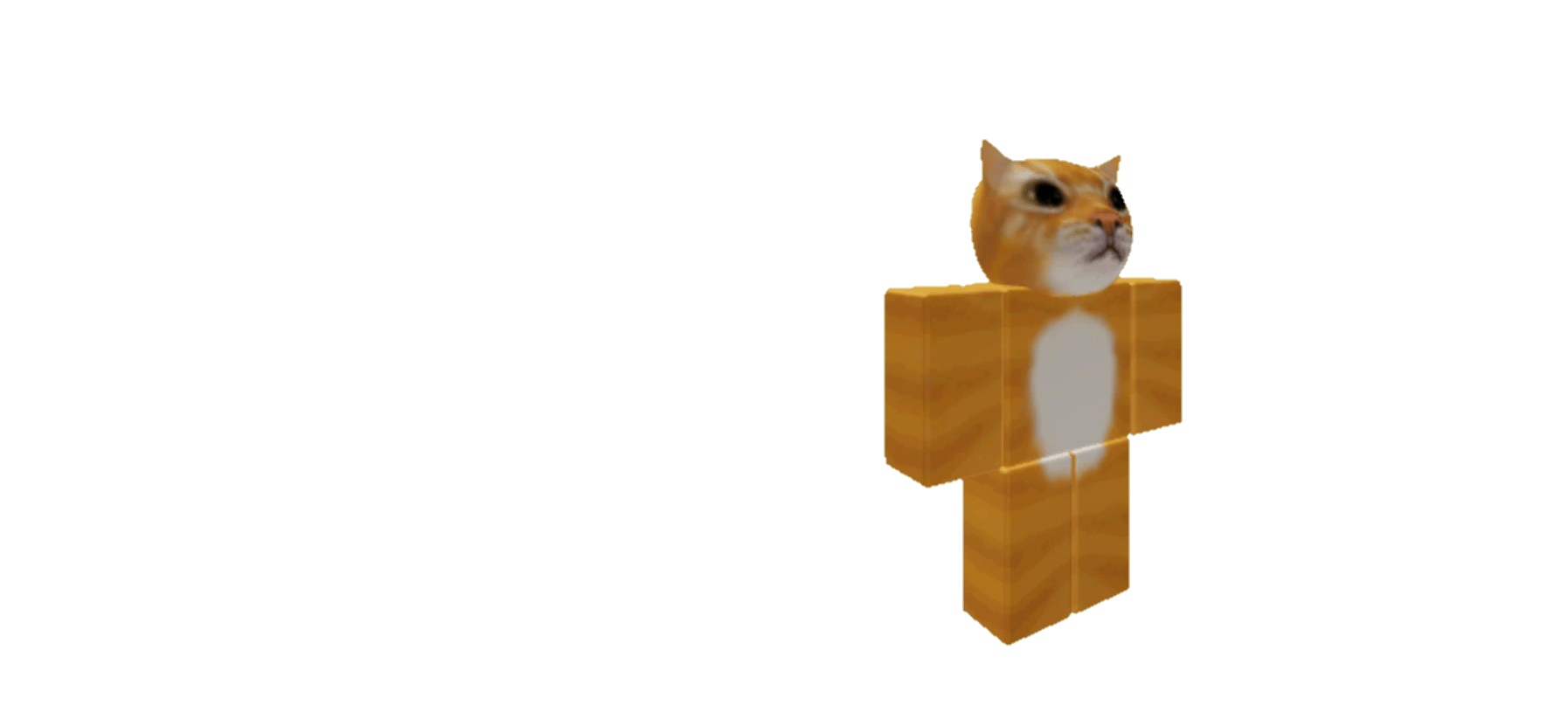 CAT thumbnail