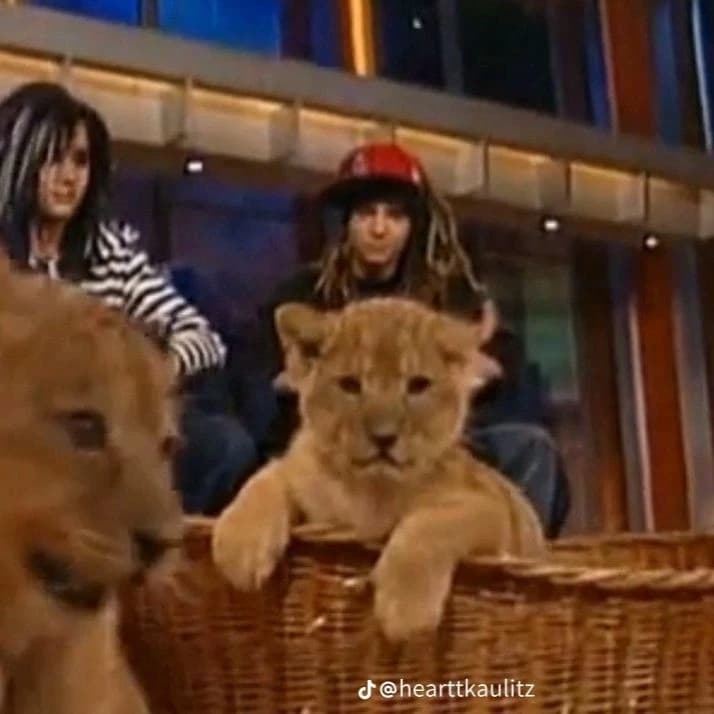 tom kaulitz thumbnail