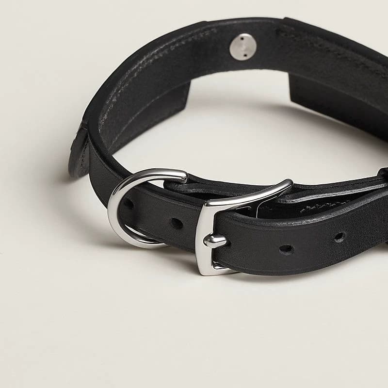 An Odd Collar thumbnail