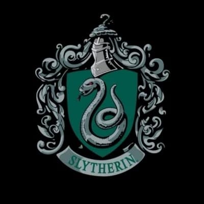 The Slytherin Boys thumbnail